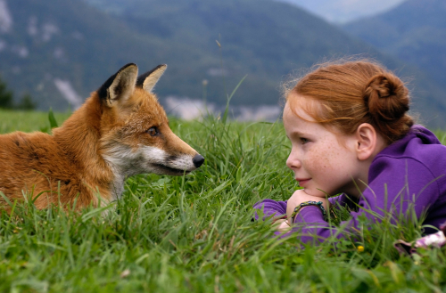 Bertille Noël-Bruneau and the fox in 'The Fox and the Child' (Directed by Luc Jacquet)